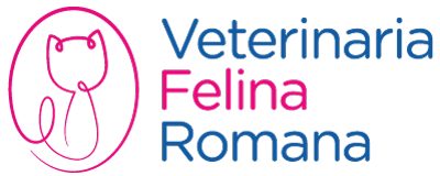 Veterinaria Felina Romana
